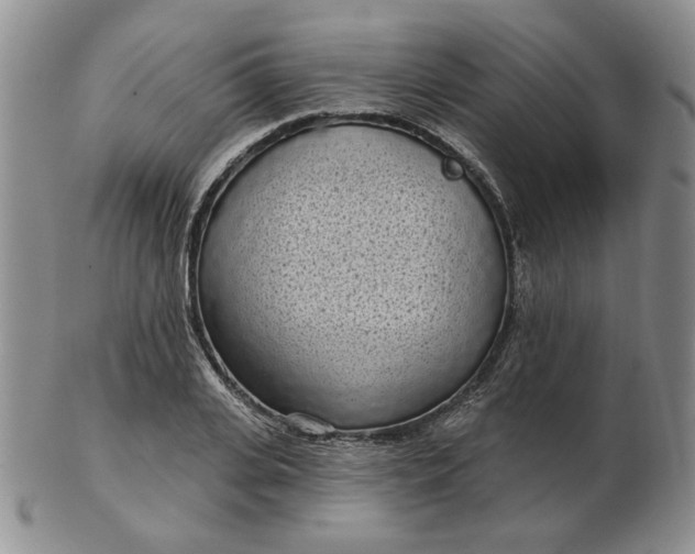 X0000103150935200809051634