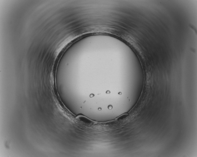 X0000103150936200809051634