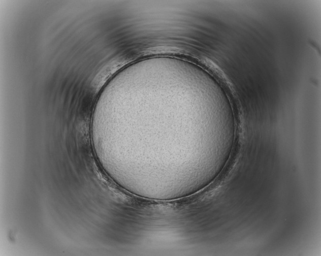 X0000103150937200809051634