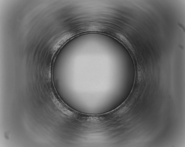 X0000103150938200809051634