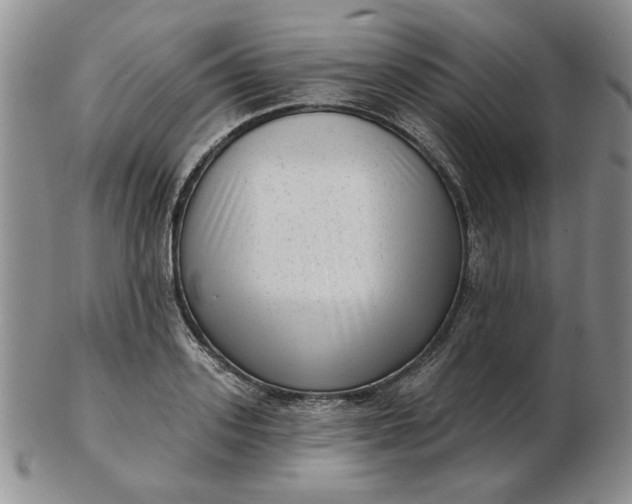 X0000103150939200809051634