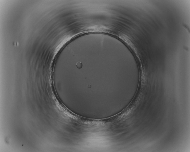 X0000103150941200809051634