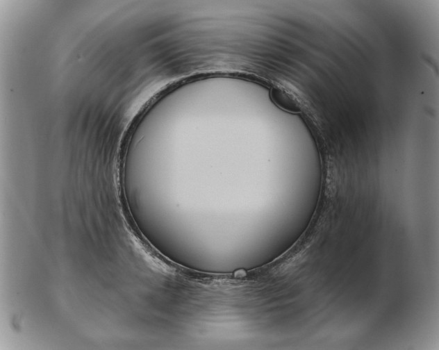 X0000103150942200809051634