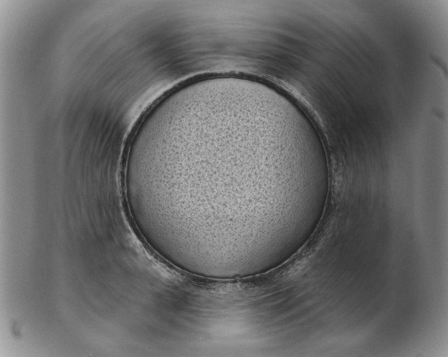 X0000103150943200809051634