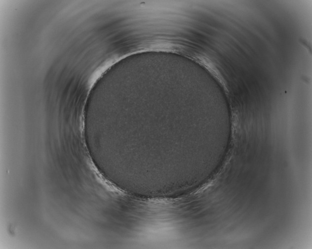 X0000103150944200809051634