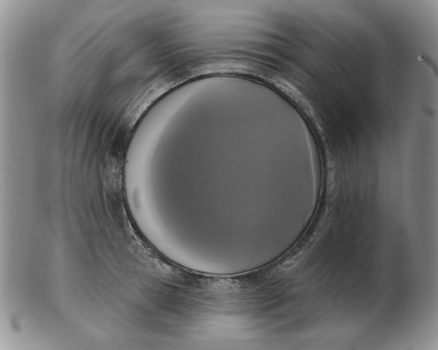 X0000103150945200809051634