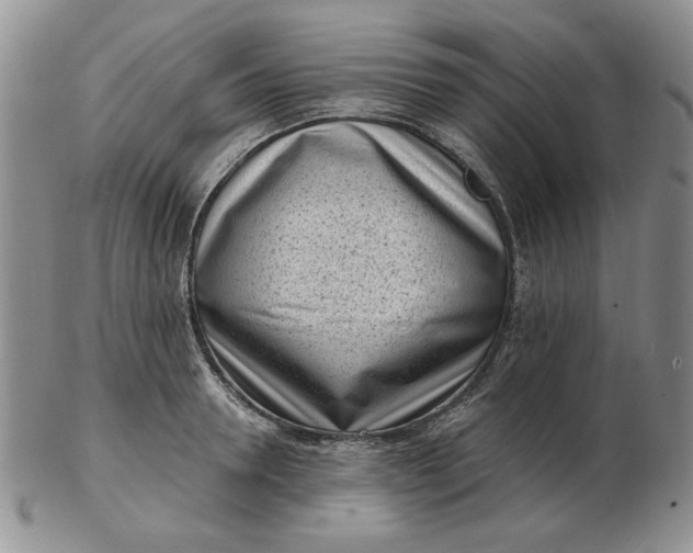 X0000103150946200809051634