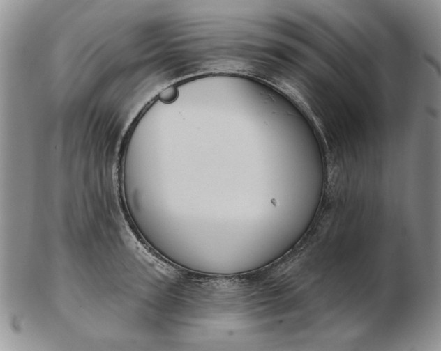 X0000103150947200809051634