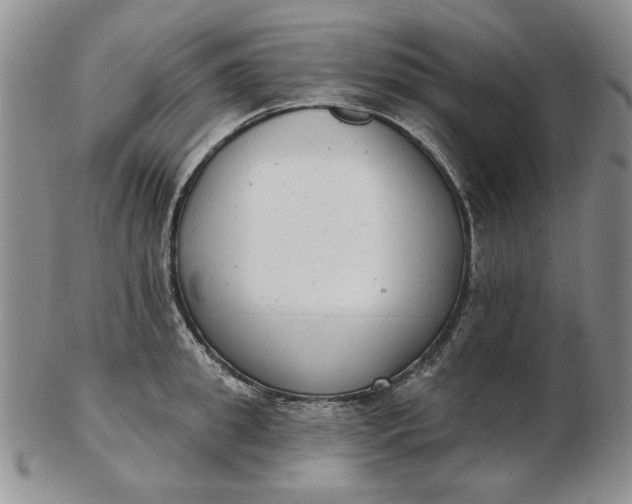 X0000103150949200809051634