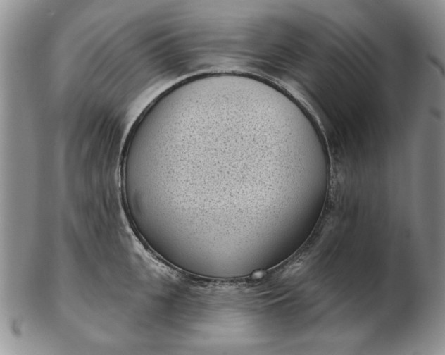 X0000103150951200809051634