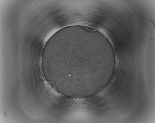 X0000103150952200809051634