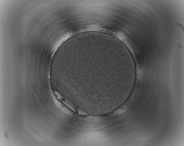 X0000103150954200809051634