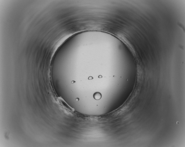 X0000103150956200809051634