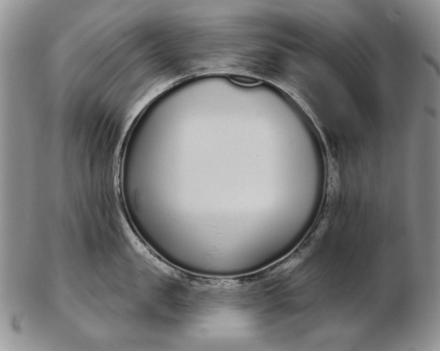 X0000103150957200809051634