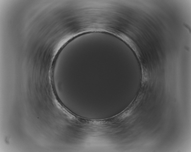 X0000103150958200809051634