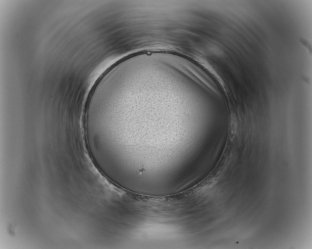 X0000103150959200809051634