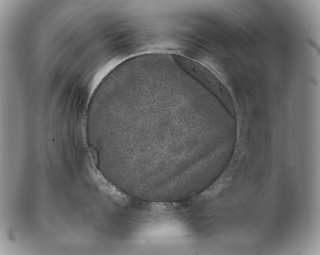 X0000103150960200809051634