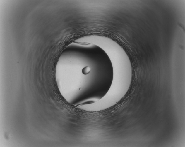 X0000103150961200809051634