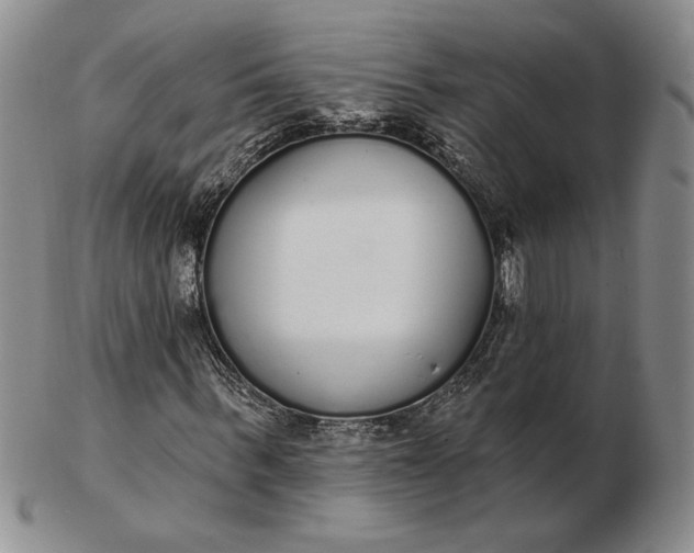 X0000103150963200809051634