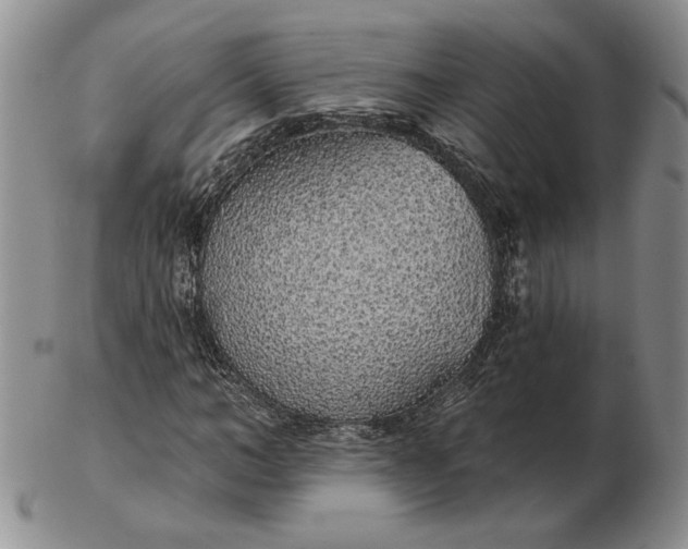 X0000103150966200809051634