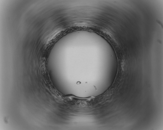 X0000103150968200809051633