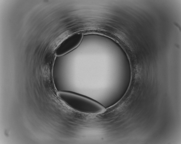 X0000103150969200809051633