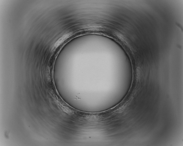 X0000103150970200809051633