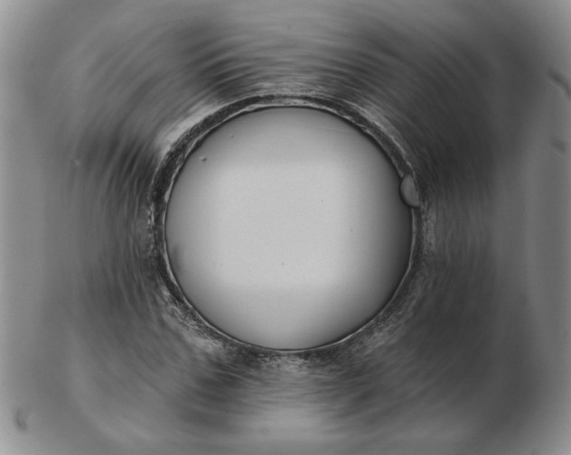 X0000103150971200809051633