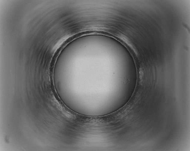 X0000103150972200809051633