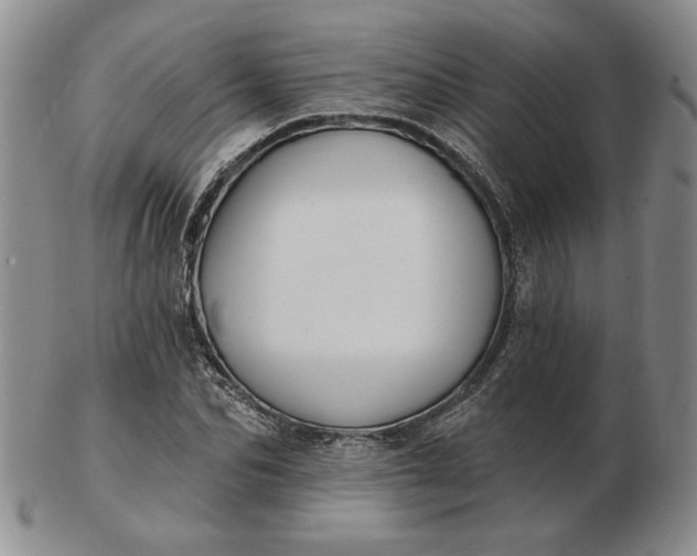 X0000103150974200809051633