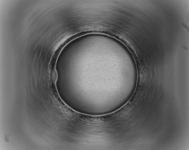 X0000103150975200809051633