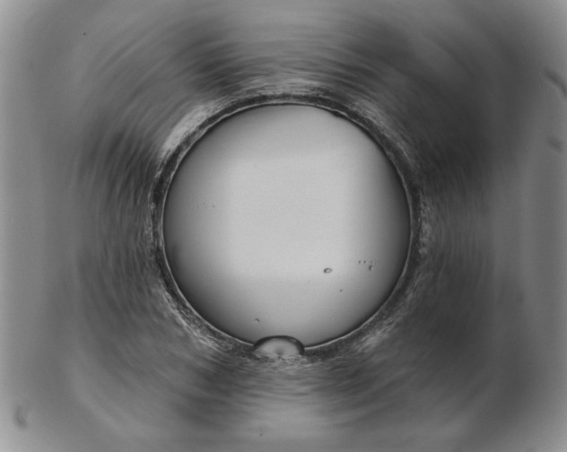 X0000103150978200809051633