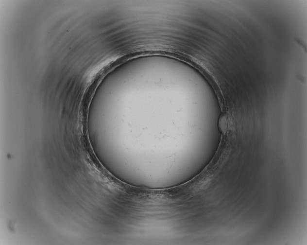 X0000103150979200809051633