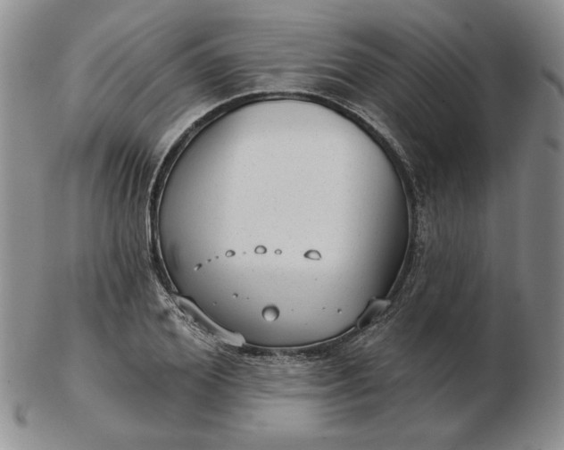 X0000103150980200809051633