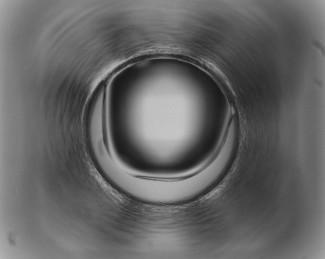 X0000103150981200809051633