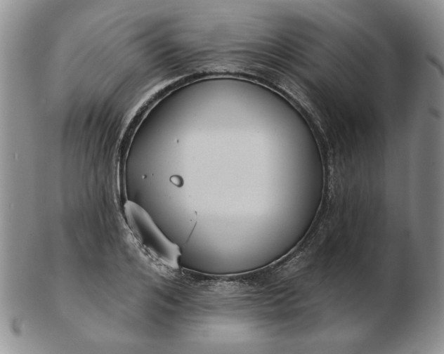 X0000103150984200809051633