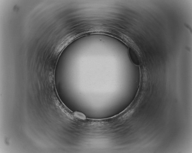 X0000103150985200809051633