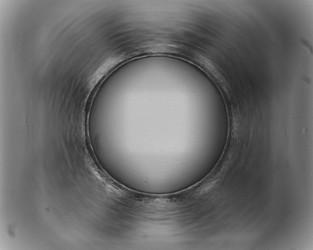 X0000103150986200809051633