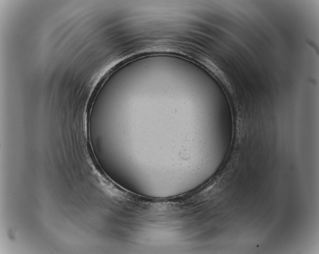 X0000103150988200809051633