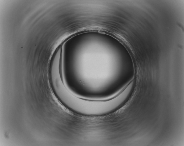 X0000103150989200809051633