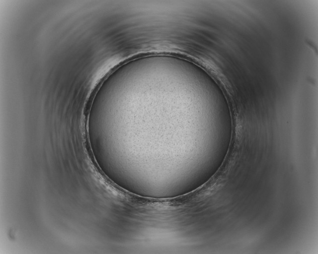 X0000103150990200809051633