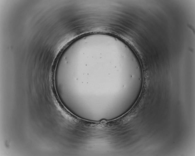 X0000103150991200809051633