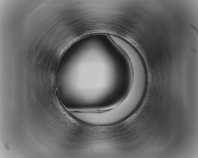 X0000103150993200809051633