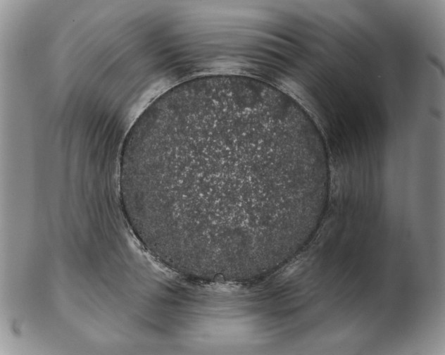 X0000103150994200809051633