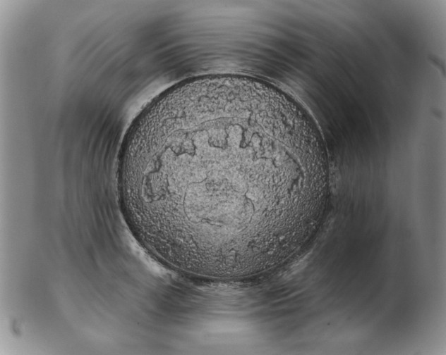 X0000103150995200809051633