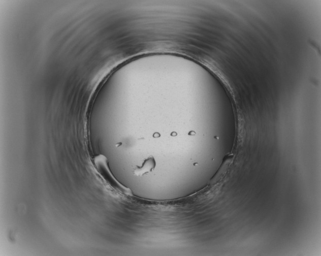 X0000103150996200809051633