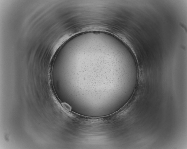 X0000103150997200809051633