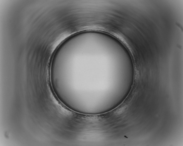 X0000103150999200809051633