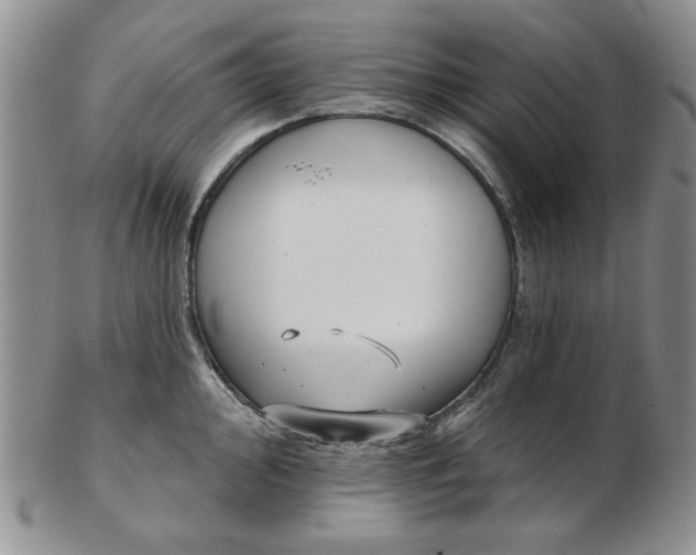 X0000103151000200809051633