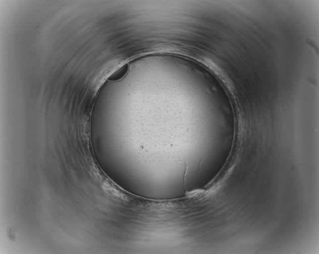 X0000103151001200809051633